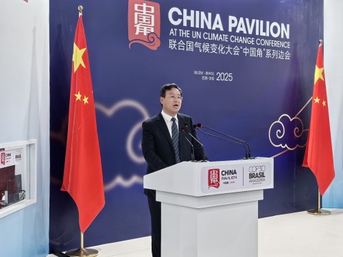 玲瓏輪胎董事長王鋒在COP30發表演講