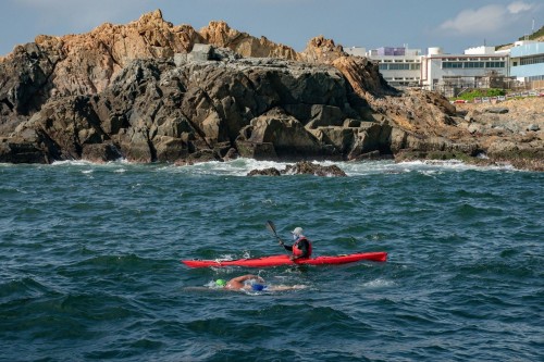 環島接力泳賽載譽歸來 國際泳手雲集維港 籌款助港人學游泳